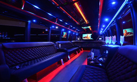 Avondale party Bus Rental